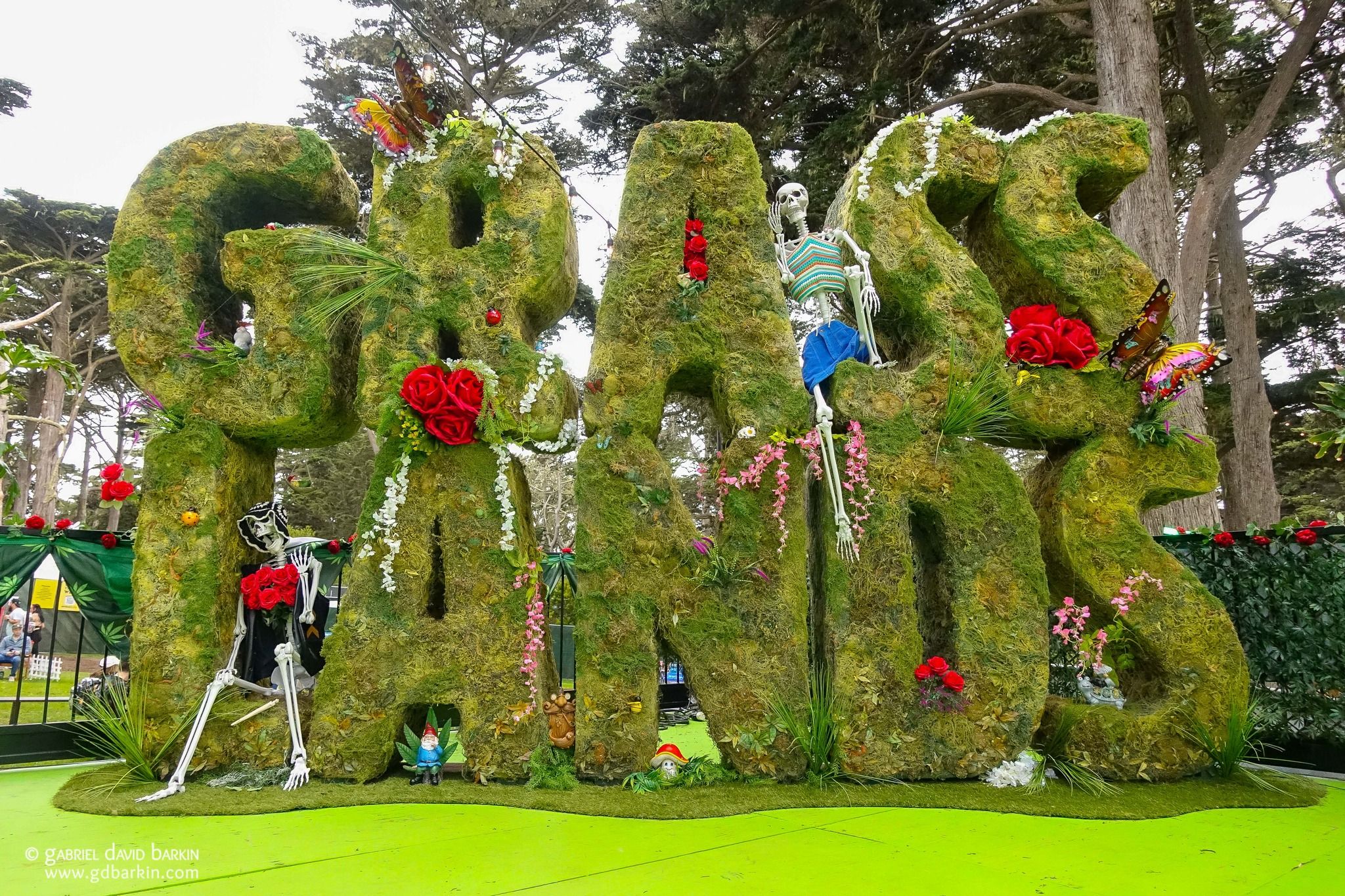 Grass Lands