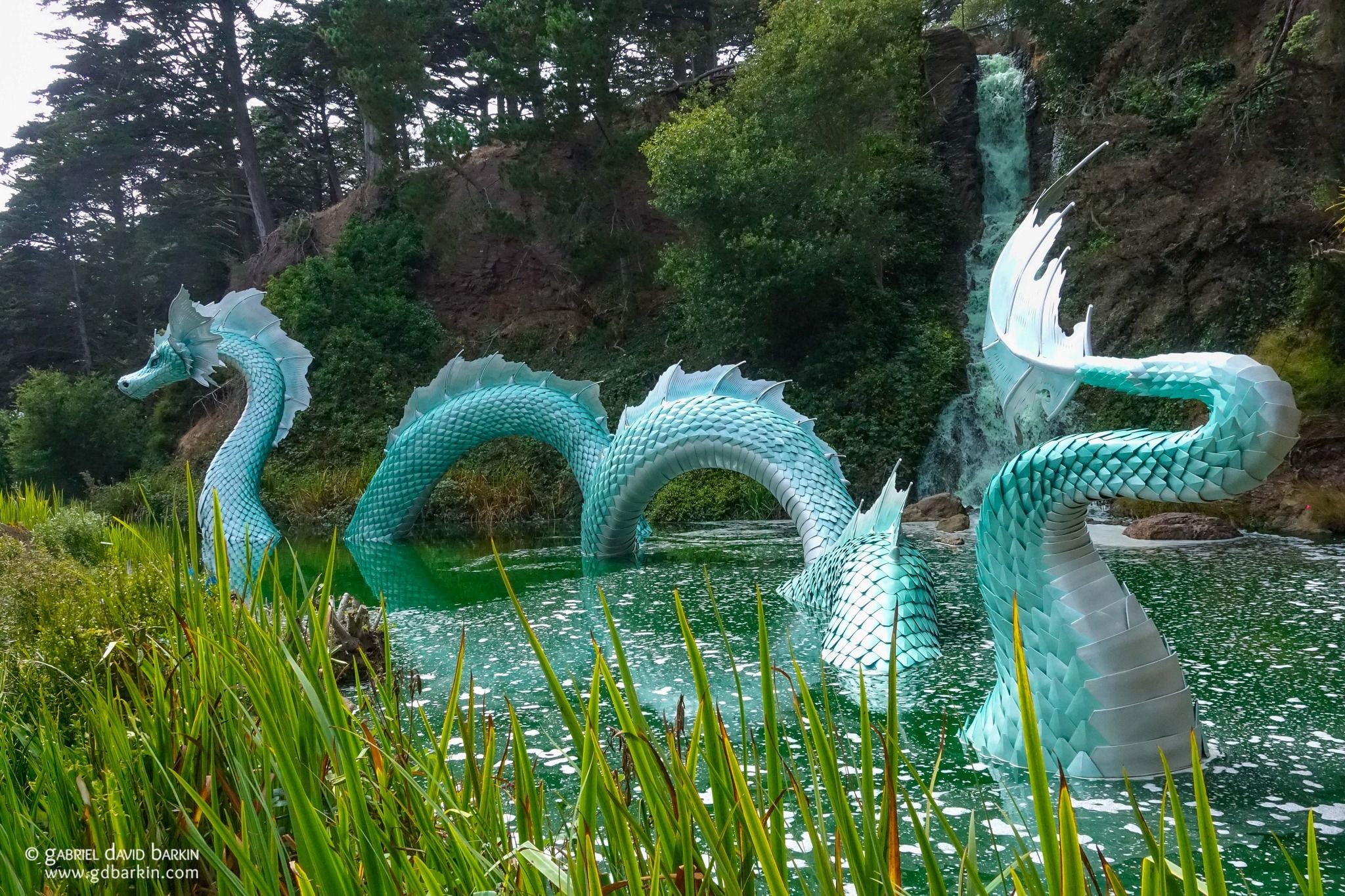 Naga